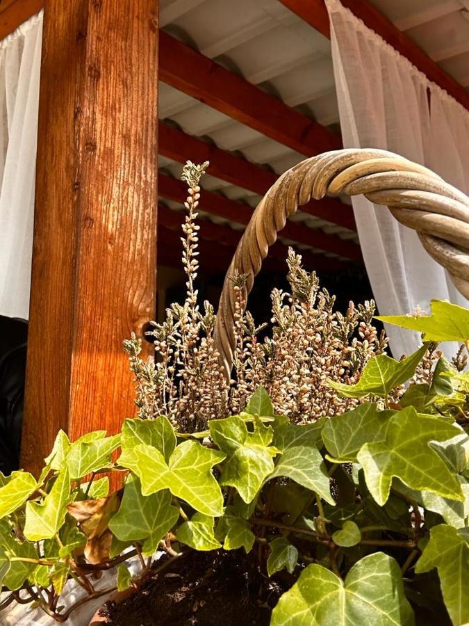 Апартаменти Bon Bon Del Corso Con Terrazzo E Aria Condizionata Асті Екстер'єр фото